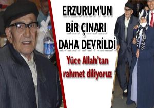 Erzurum un bir çınarı daha devrildi